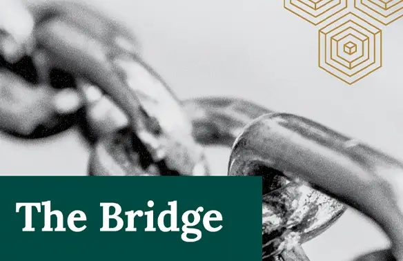 cover for the bridge with monochromatic chain